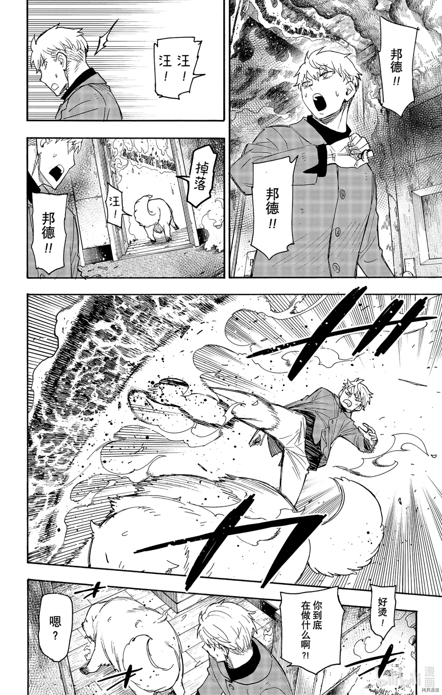 间谍过家家[拷贝漫画]韩漫全集-第58话无删减无遮挡章节图片 