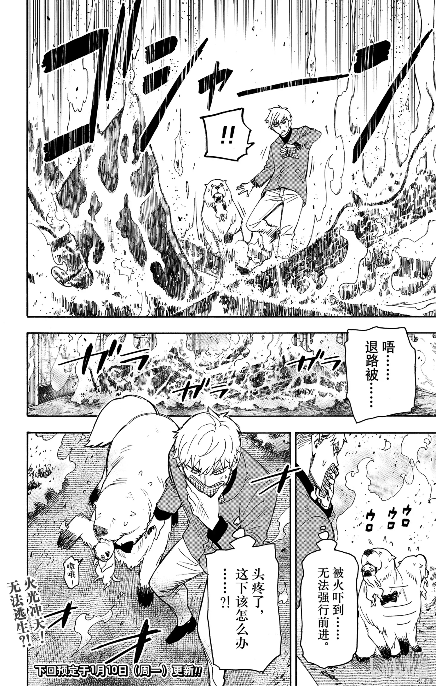 间谍过家家[拷贝漫画]韩漫全集-第58话无删减无遮挡章节图片 