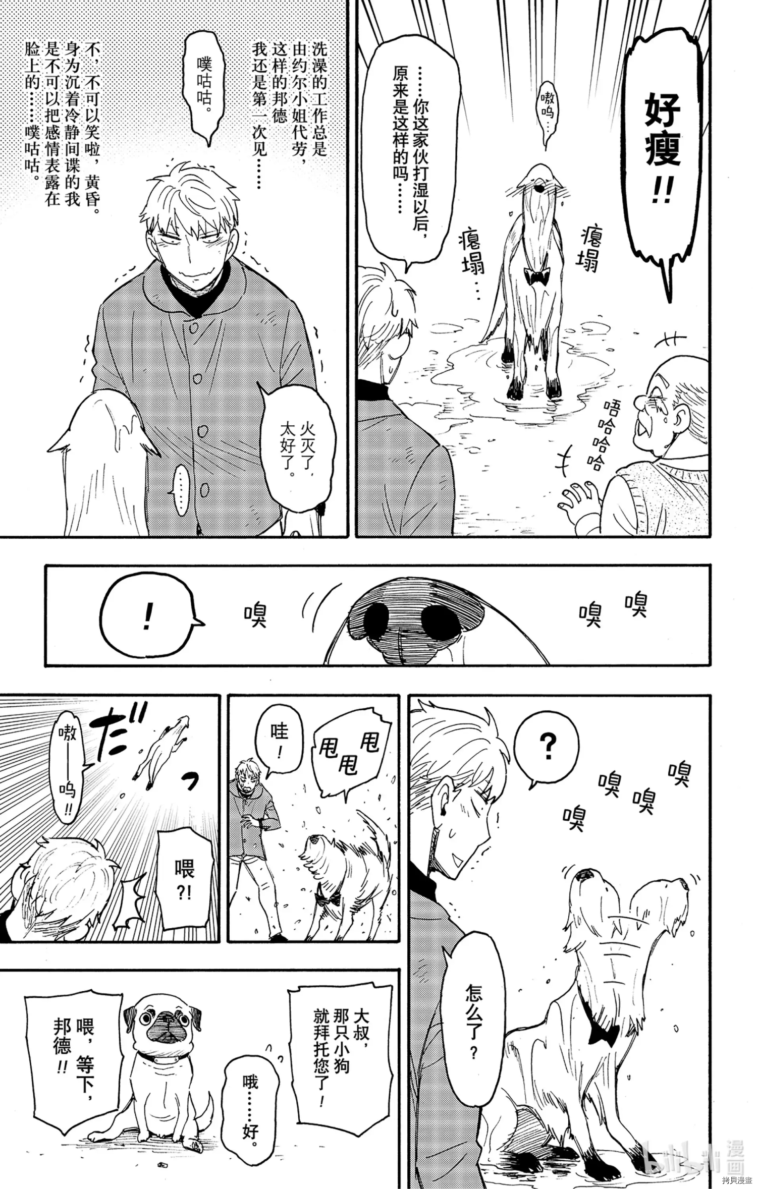 间谍过家家[拷贝漫画]韩漫全集-第58-2话无删减无遮挡章节图片 