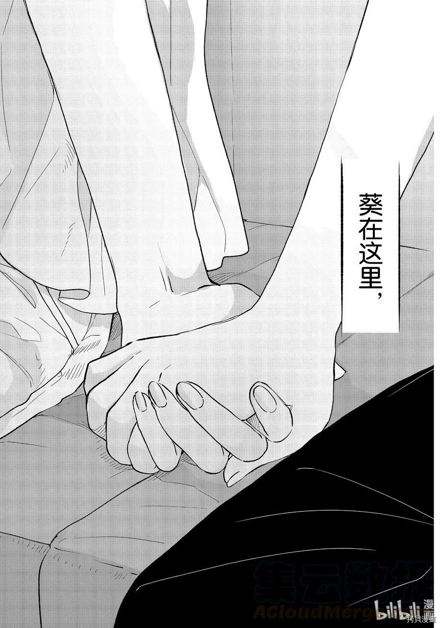 今日，若是能与小柴葵相遇[拷贝漫画]韩漫全集-第17话无删减无遮挡章节图片 
