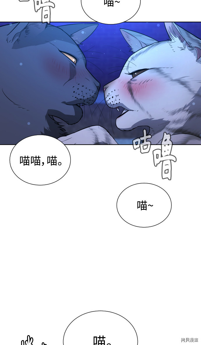 荆棘女王[拷贝漫画]韩漫全集-第64话无删减无遮挡章节图片 