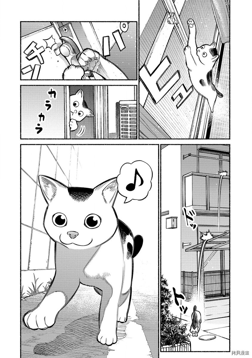 极主夫道[拷贝漫画]韩漫全集-番外第1-2话无删减无遮挡章节图片 