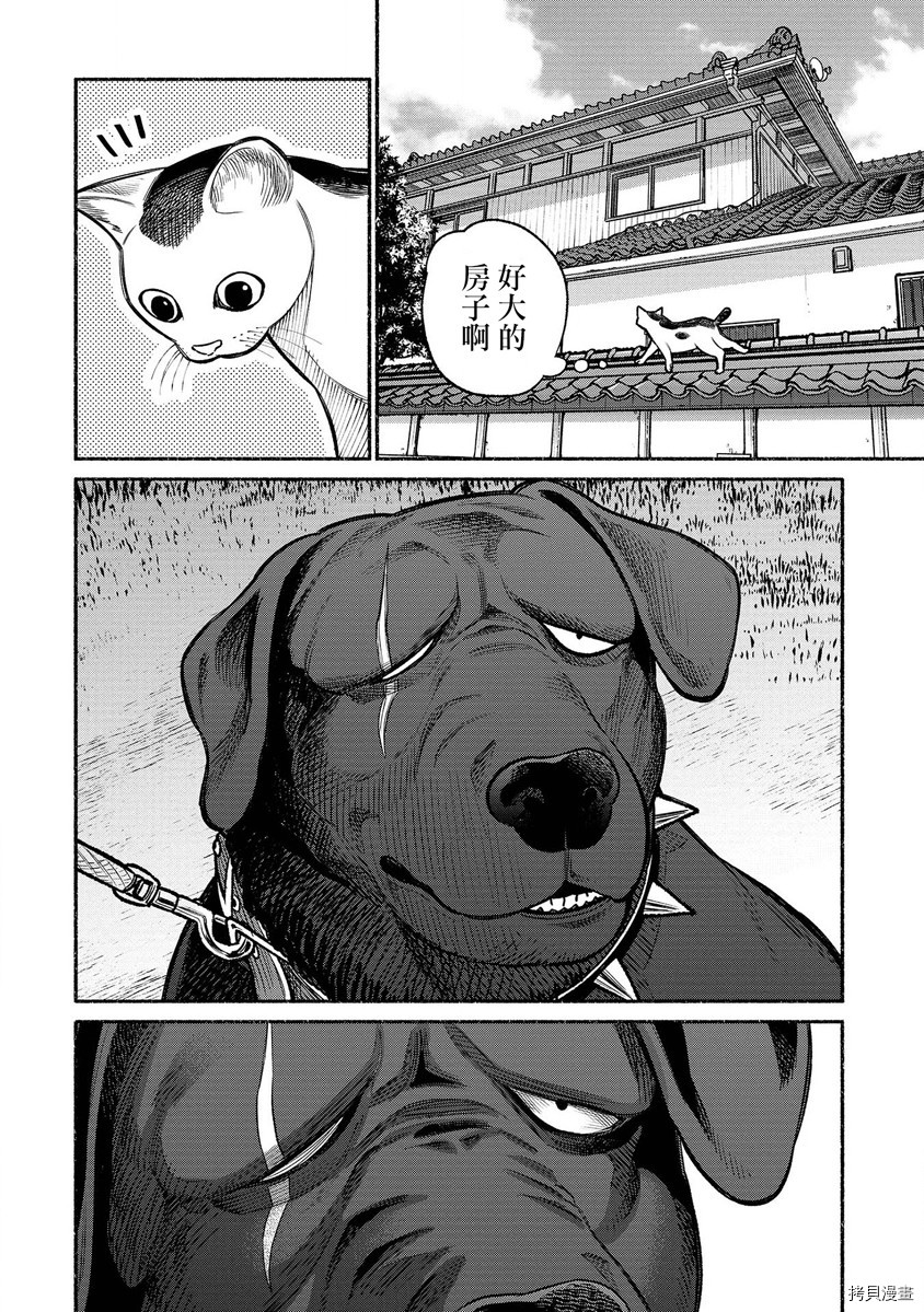 极主夫道[拷贝漫画]韩漫全集-番外第1-2话无删减无遮挡章节图片 