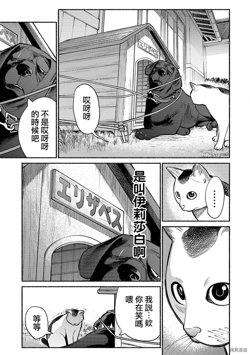 极主夫道[拷贝漫画]韩漫全集-番外第1-2话无删减无遮挡章节图片 