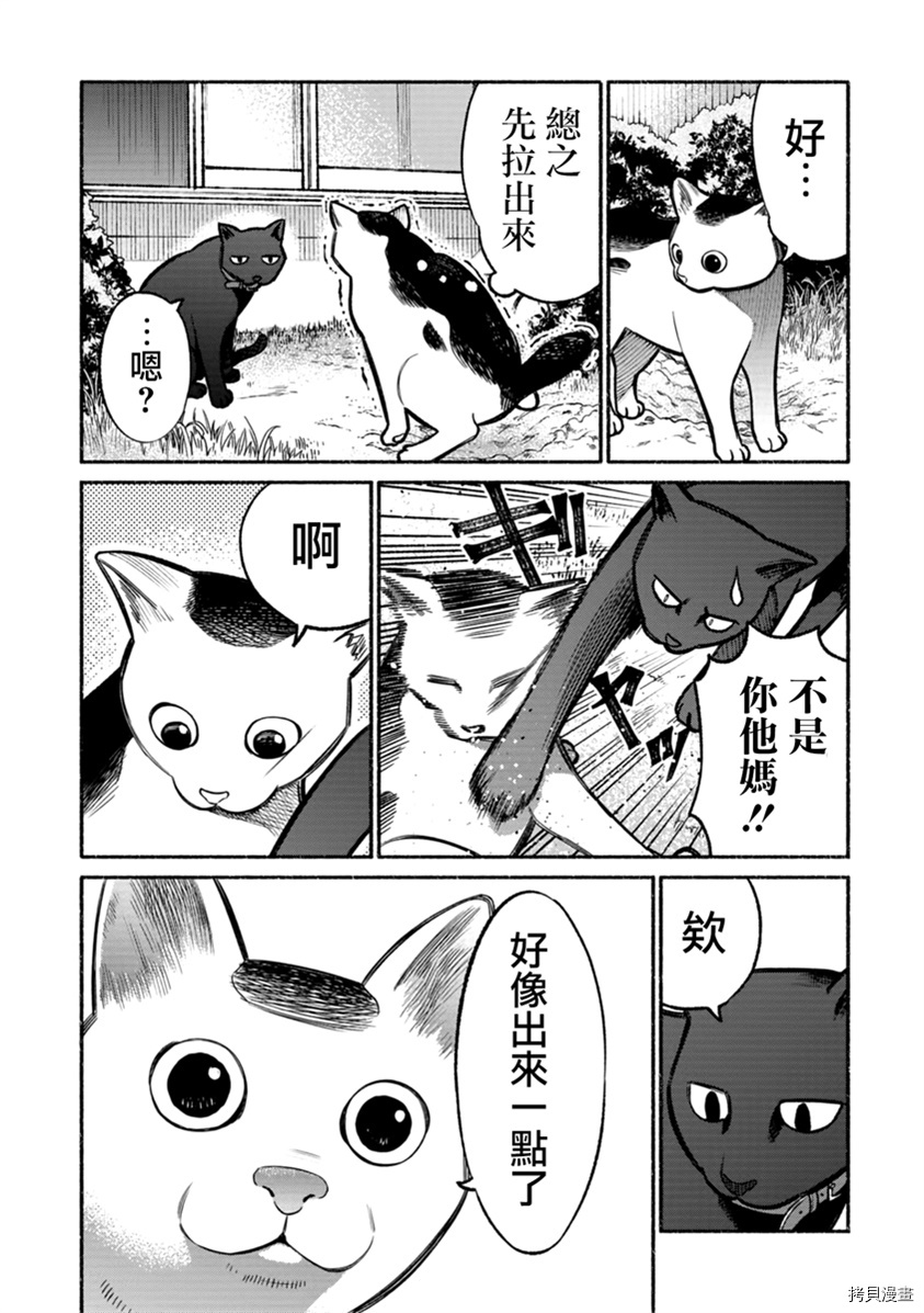 极主夫道[拷贝漫画]韩漫全集-02卷番外无删减无遮挡章节图片 