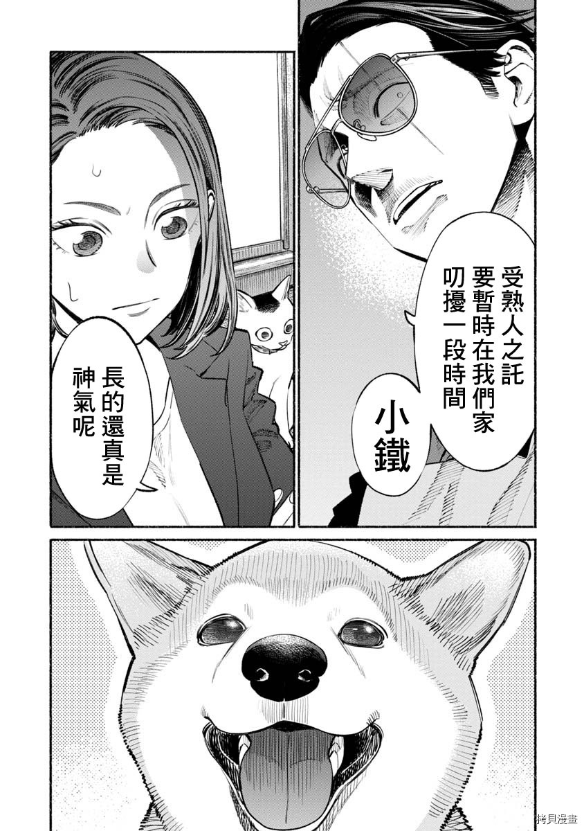 极主夫道[拷贝漫画]韩漫全集-第50话无删减无遮挡章节图片 
