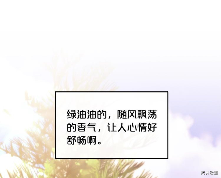 精灵团宠小千金[拷贝漫画]韩漫全集-第49话无删减无遮挡章节图片 