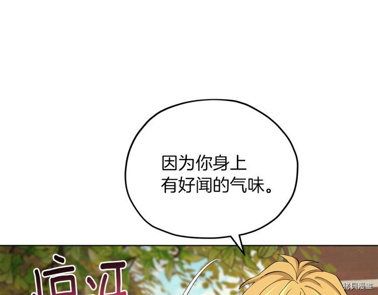 精灵王女要跑路[拷贝漫画]韩漫全集-第39话无删减无遮挡章节图片 