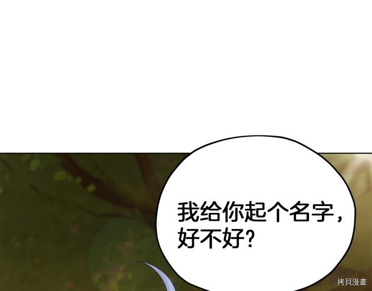 精灵王女要跑路[拷贝漫画]韩漫全集-第39话无删减无遮挡章节图片 