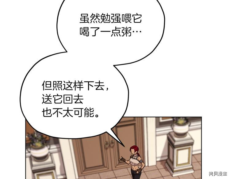 精灵王女要跑路[拷贝漫画]韩漫全集-第40话无删减无遮挡章节图片 