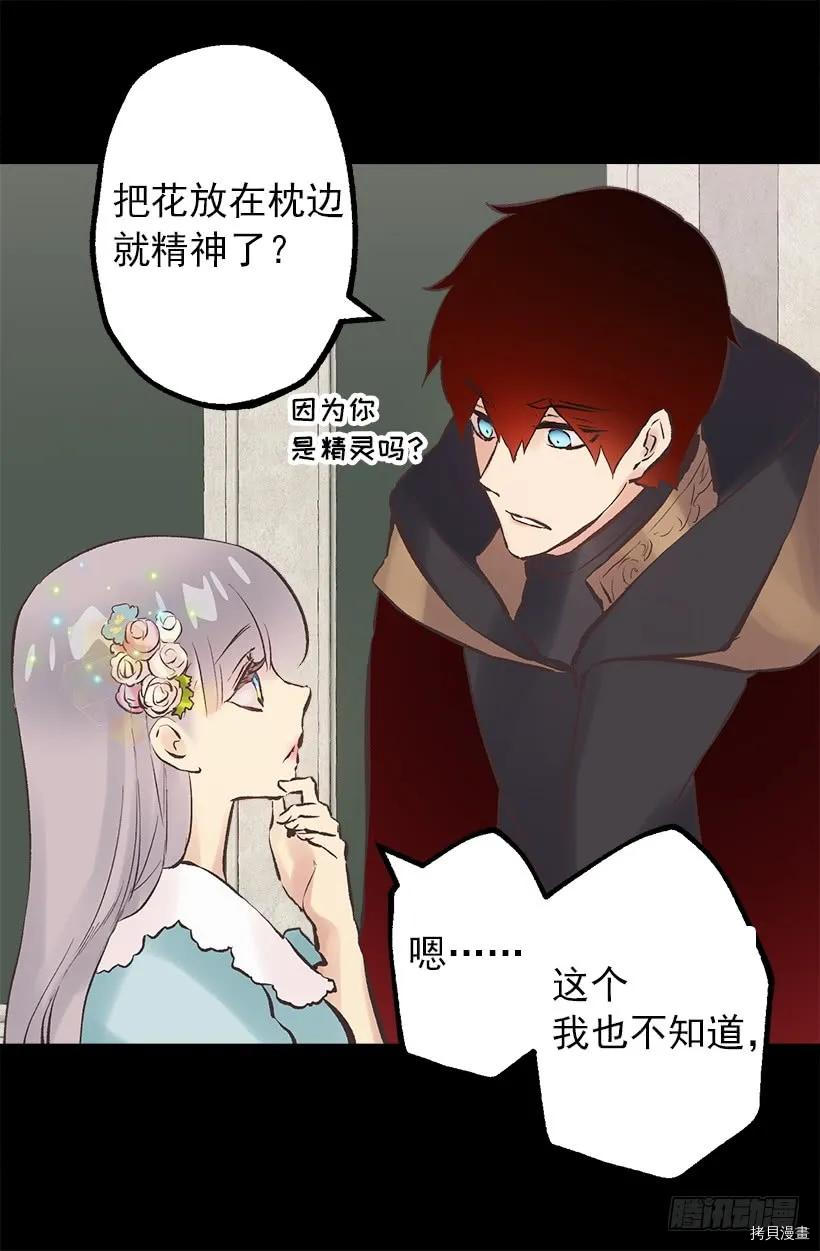 爵世恋人[拷贝漫画]韩漫全集-第203话无删减无遮挡章节图片 