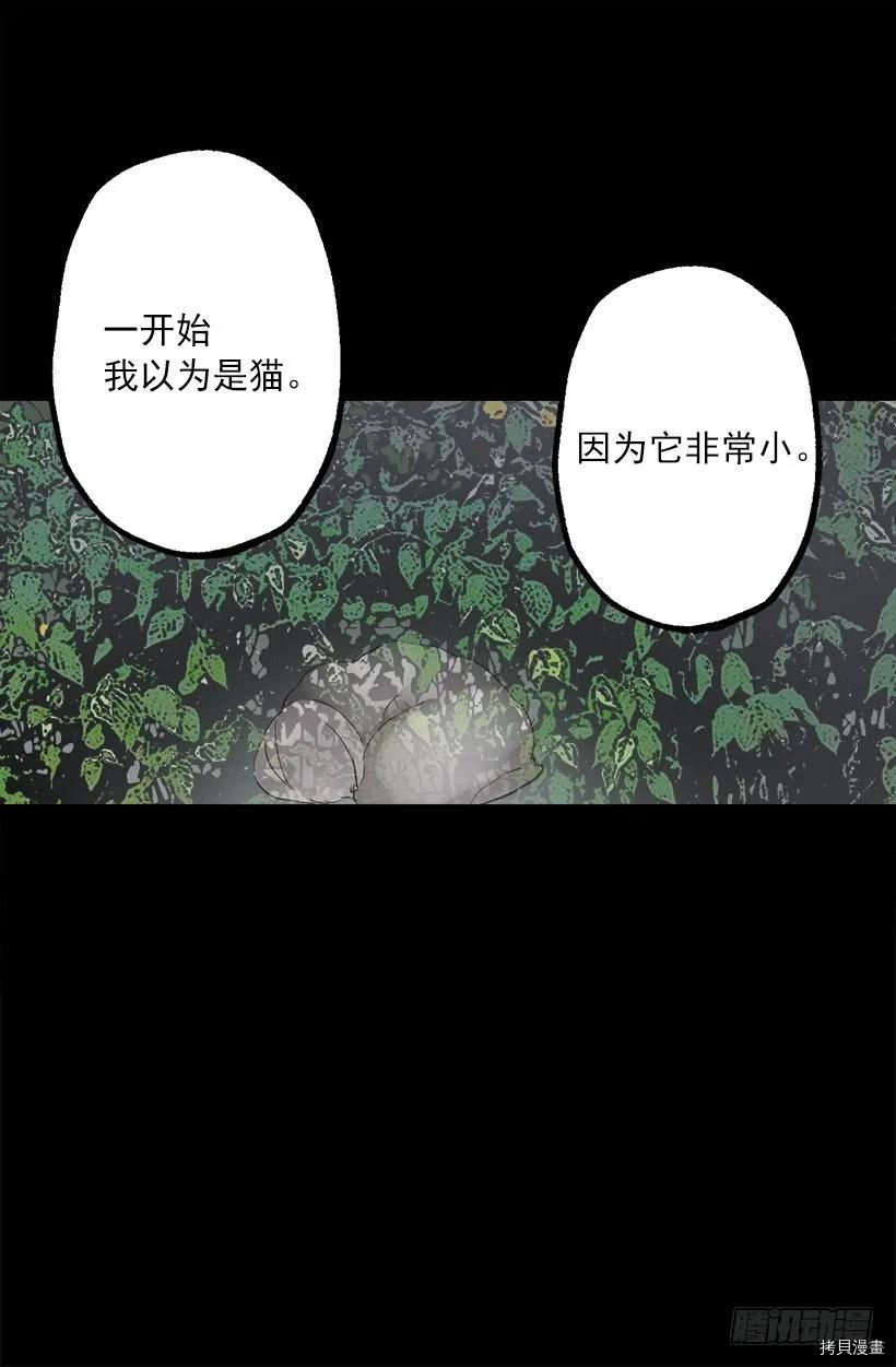 爵世恋人[拷贝漫画]韩漫全集-第227话无删减无遮挡章节图片 