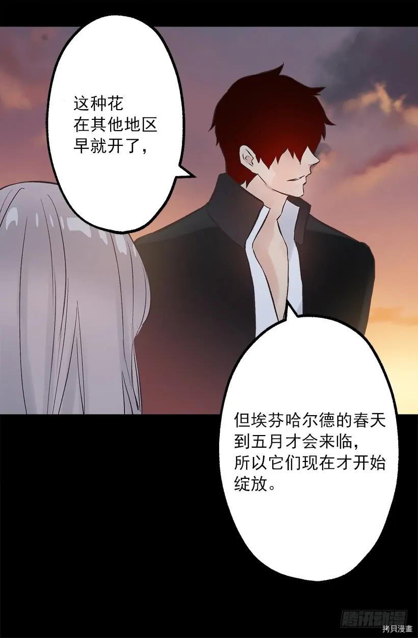 爵世恋人[拷贝漫画]韩漫全集-第229话无删减无遮挡章节图片 