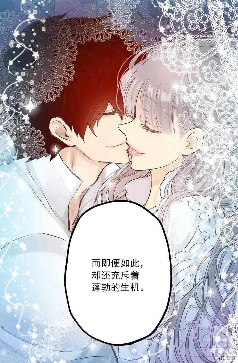 爵世恋人[拷贝漫画]韩漫全集-第248话无删减无遮挡章节图片 