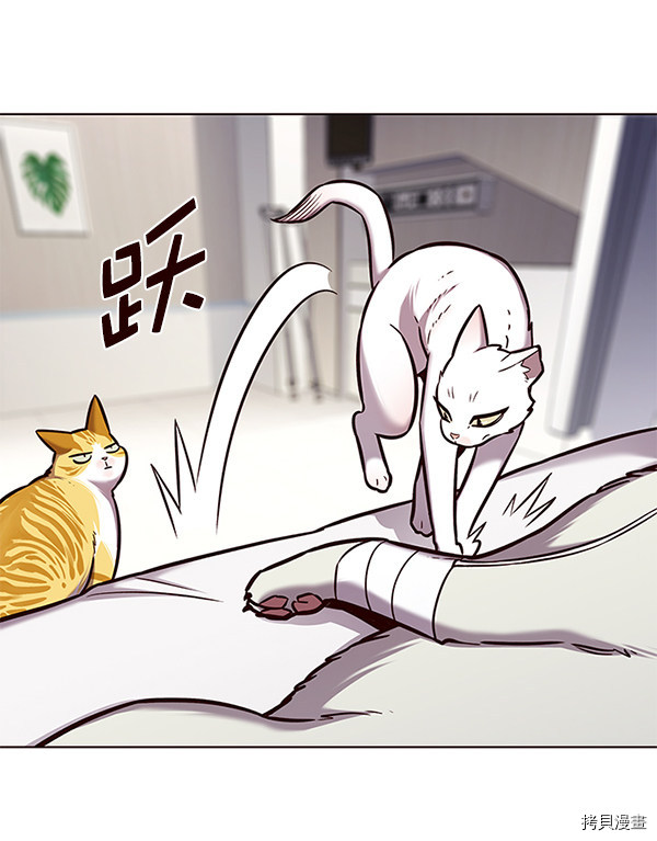 觉醒吧，铲屎官！[拷贝漫画]韩漫全集-第166话无删减无遮挡章节图片 