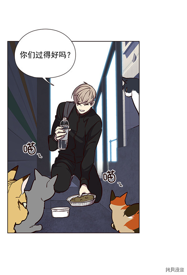 觉醒吧，铲屎官！[拷贝漫画]韩漫全集-第36话无删减无遮挡章节图片 
