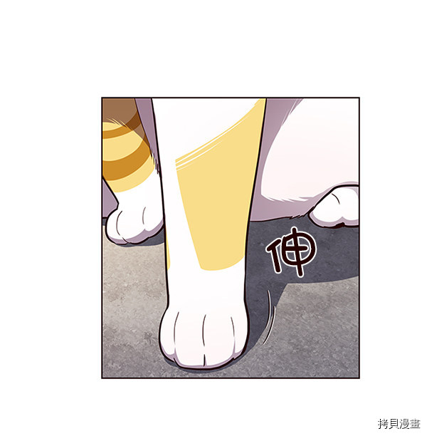 觉醒吧，铲屎官！[拷贝漫画]韩漫全集-第36话无删减无遮挡章节图片 