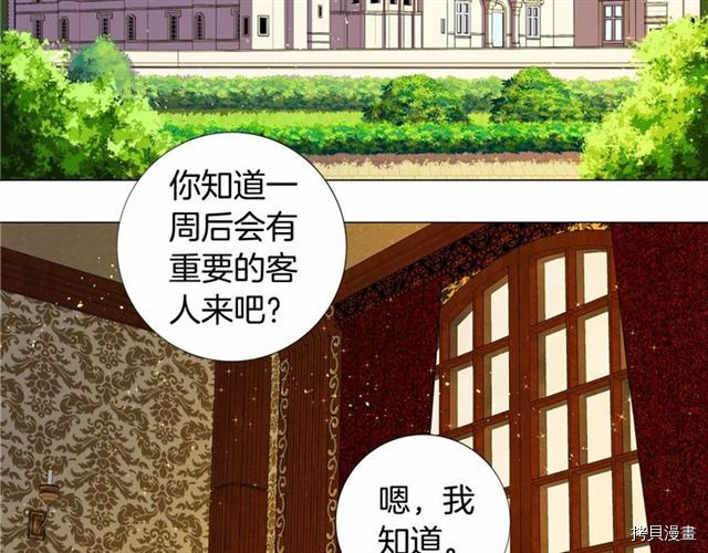 Lady to Queen-胜者为后[拷贝漫画]韩漫全集-第11话无删减无遮挡章节图片 