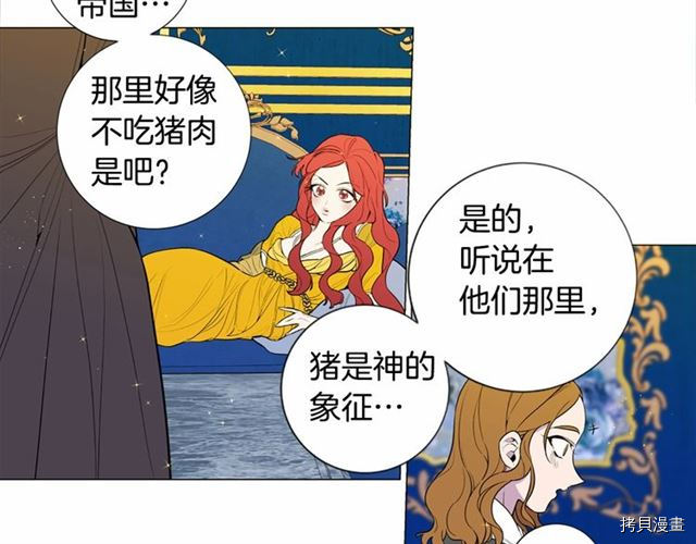 Lady to Queen-胜者为后[拷贝漫画]韩漫全集-第11话无删减无遮挡章节图片 