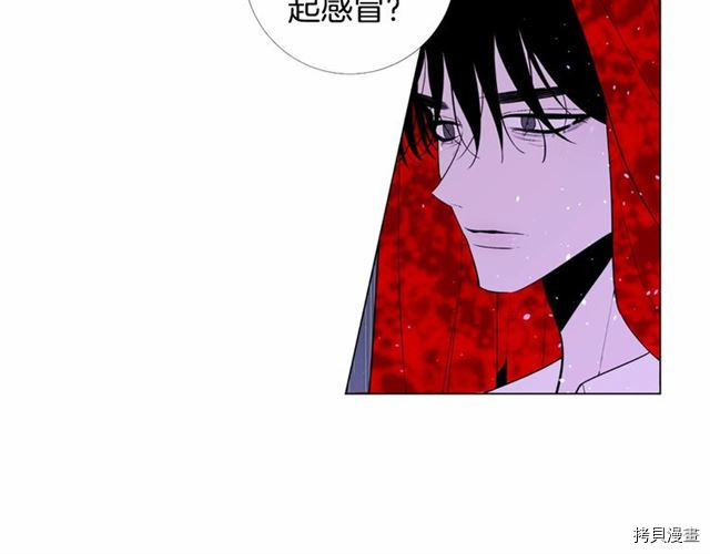 Lady to Queen-胜者为后[拷贝漫画]韩漫全集-第19话无删减无遮挡章节图片 