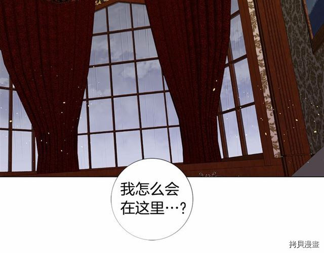 Lady to Queen-胜者为后[拷贝漫画]韩漫全集-第19话无删减无遮挡章节图片 