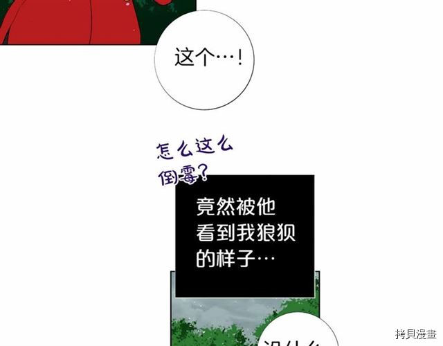 Lady to Queen-胜者为后[拷贝漫画]韩漫全集-第24话无删减无遮挡章节图片 