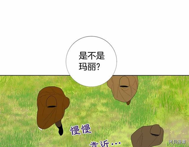 Lady to Queen-胜者为后[拷贝漫画]韩漫全集-第27话无删减无遮挡章节图片 