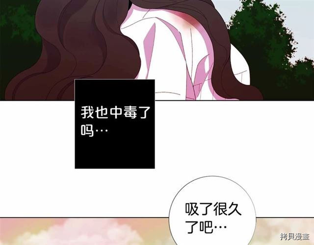 Lady to Queen-胜者为后[拷贝漫画]韩漫全集-第28话无删减无遮挡章节图片 