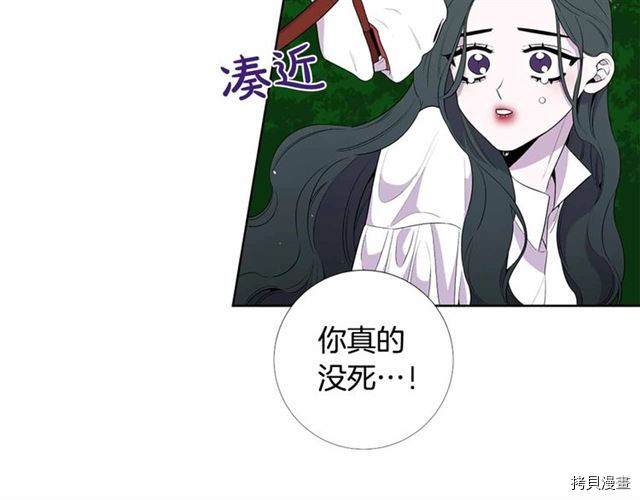 Lady to Queen-胜者为后[拷贝漫画]韩漫全集-第28话无删减无遮挡章节图片 