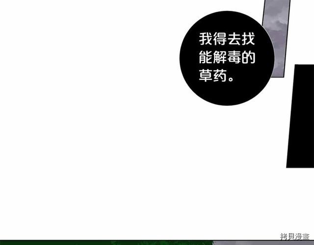 Lady to Queen-胜者为后[拷贝漫画]韩漫全集-第28话无删减无遮挡章节图片 