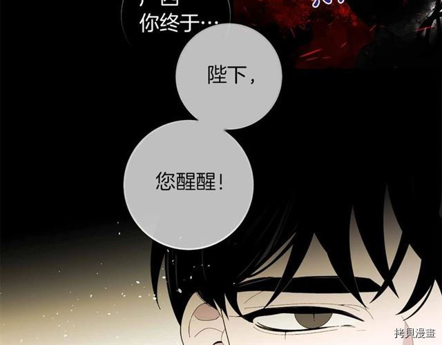 Lady to Queen-胜者为后[拷贝漫画]韩漫全集-第29话无删减无遮挡章节图片 