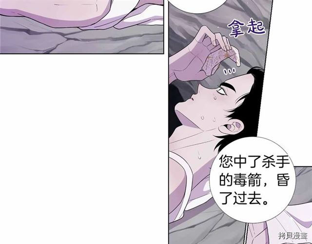 Lady to Queen-胜者为后[拷贝漫画]韩漫全集-第29话无删减无遮挡章节图片 