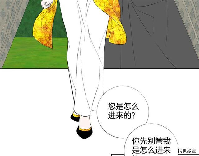 Lady to Queen-胜者为后[拷贝漫画]韩漫全集-第29话无删减无遮挡章节图片 