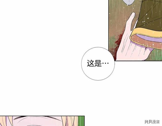 Lady to Queen-胜者为后[拷贝漫画]韩漫全集-第29话无删减无遮挡章节图片 