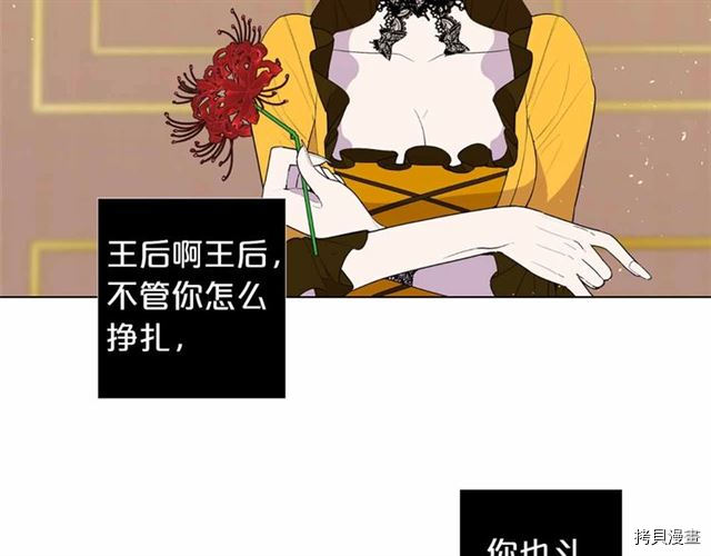 Lady to Queen-胜者为后[拷贝漫画]韩漫全集-第29话无删减无遮挡章节图片 