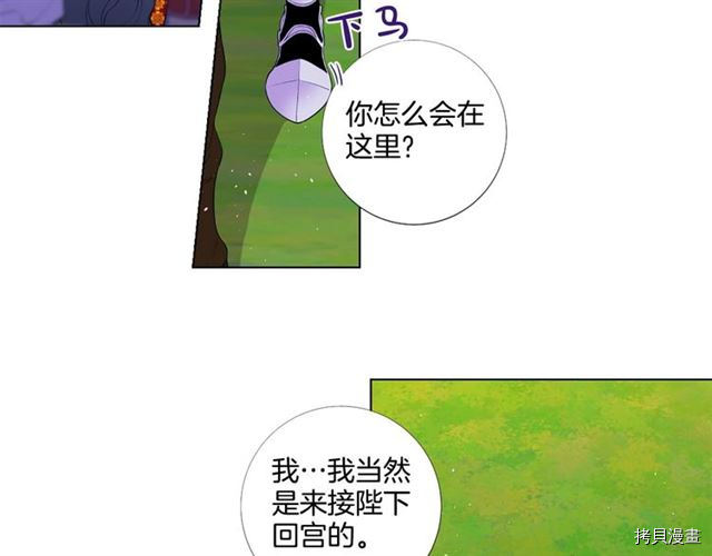 Lady to Queen-胜者为后[拷贝漫画]韩漫全集-第31话无删减无遮挡章节图片 