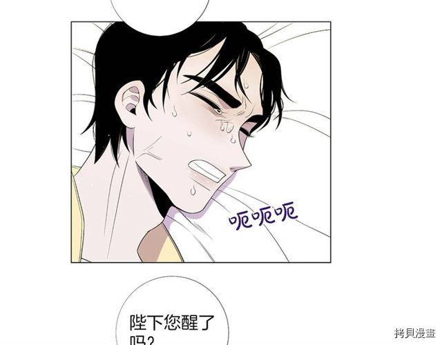 Lady to Queen-胜者为后[拷贝漫画]韩漫全集-第35话无删减无遮挡章节图片 