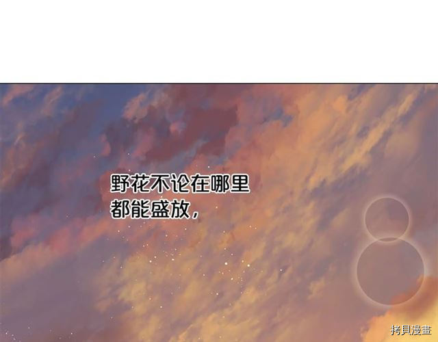 Lady to Queen-胜者为后[拷贝漫画]韩漫全集-第38话无删减无遮挡章节图片 