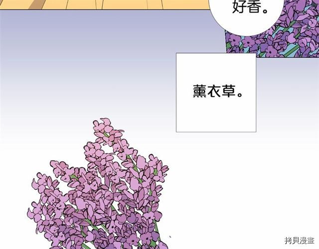 Lady to Queen-胜者为后[拷贝漫画]韩漫全集-第03话无删减无遮挡章节图片 