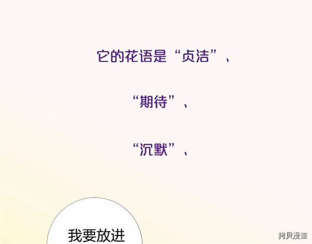 Lady to Queen-胜者为后[拷贝漫画]韩漫全集-第03话无删减无遮挡章节图片 