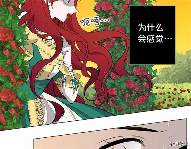 Lady to Queen-胜者为后[拷贝漫画]韩漫全集-第05话无删减无遮挡章节图片 