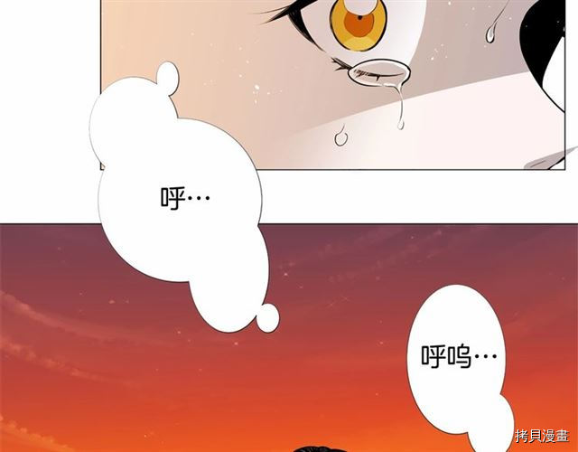 Lady to Queen-胜者为后[拷贝漫画]韩漫全集-第05话无删减无遮挡章节图片 