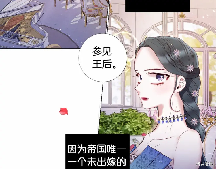 Lady to Queen-胜者为后[拷贝漫画]韩漫全集-第65话无删减无遮挡章节图片 