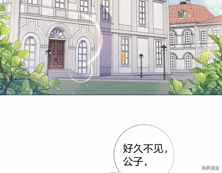 Lady to Queen-胜者为后[拷贝漫画]韩漫全集-第66话无删减无遮挡章节图片 