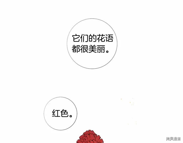 Lady to Queen-胜者为后[拷贝漫画]韩漫全集-第67话无删减无遮挡章节图片 