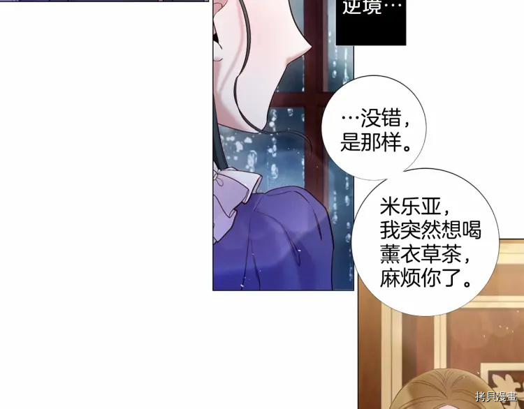 Lady to Queen-胜者为后[拷贝漫画]韩漫全集-第71话无删减无遮挡章节图片 