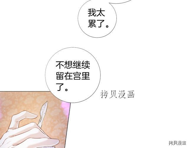 Lady to Queen-胜者为后[拷贝漫画]韩漫全集-第97话无删减无遮挡章节图片 