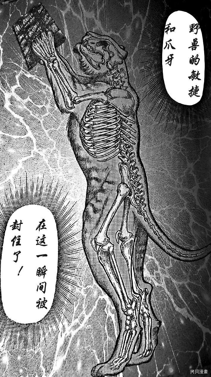 龙狼传[拷贝漫画]韩漫全集-第203话无删减无遮挡章节图片 