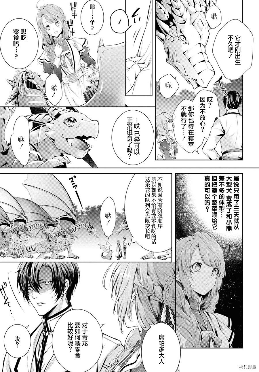 龙骑士的宠儿[拷贝漫画]韩漫全集-第10话无删减无遮挡章节图片 