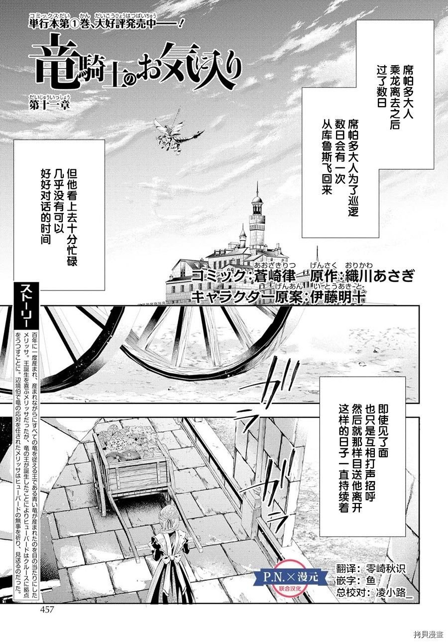 龙骑士的宠儿[拷贝漫画]韩漫全集-第11话无删减无遮挡章节图片 